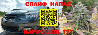 прущие грибы Будённовск