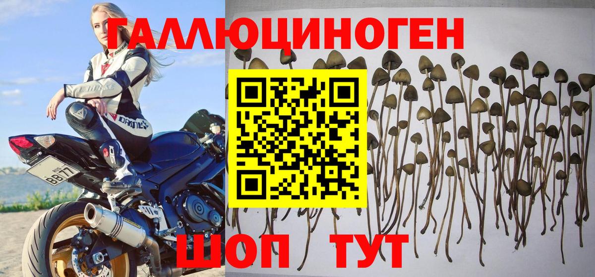 Галлюциногенные грибы Magic Shrooms Благовещенск