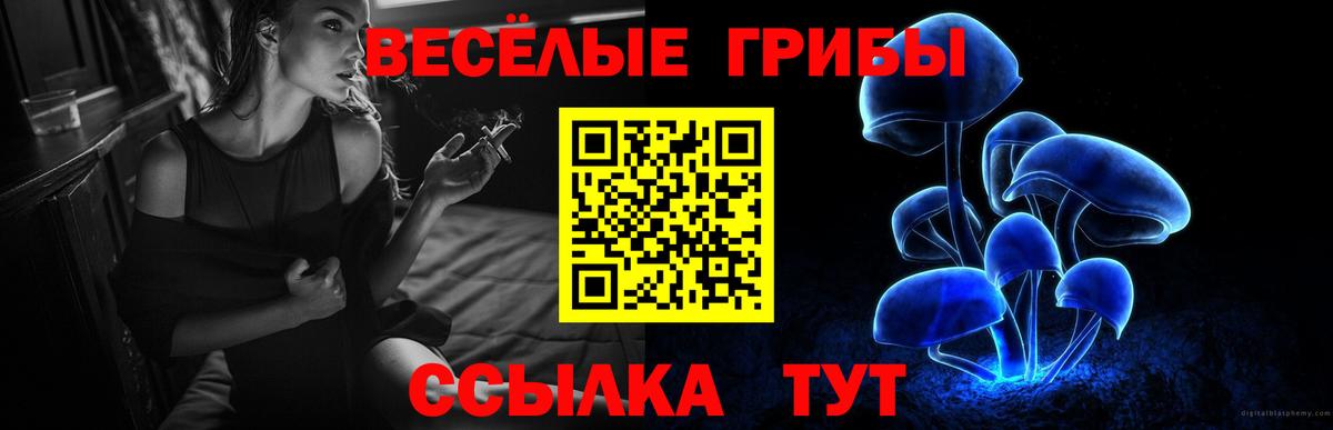 Благовещенск  Псилоцибиновые грибы Magic Shrooms  Вход с VPN 